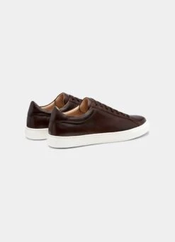 Brown Sneaker 7 Brown Sneaker -Suit Supply FW1481 34